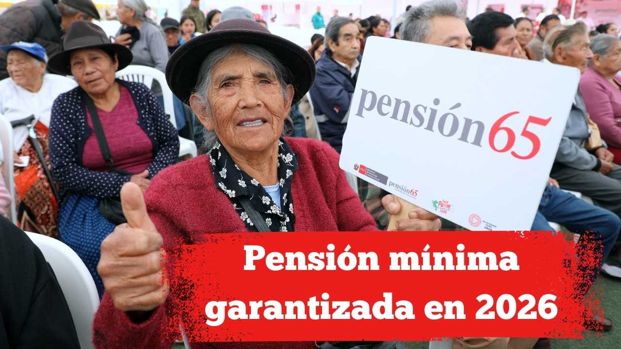 Pensión mínima garantizada en 2026: cómo acceder y calendario de cobros mensuales