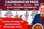 Pagos de pensiones en diciembre 2025: fechas y cómo revisarlos en tu banco