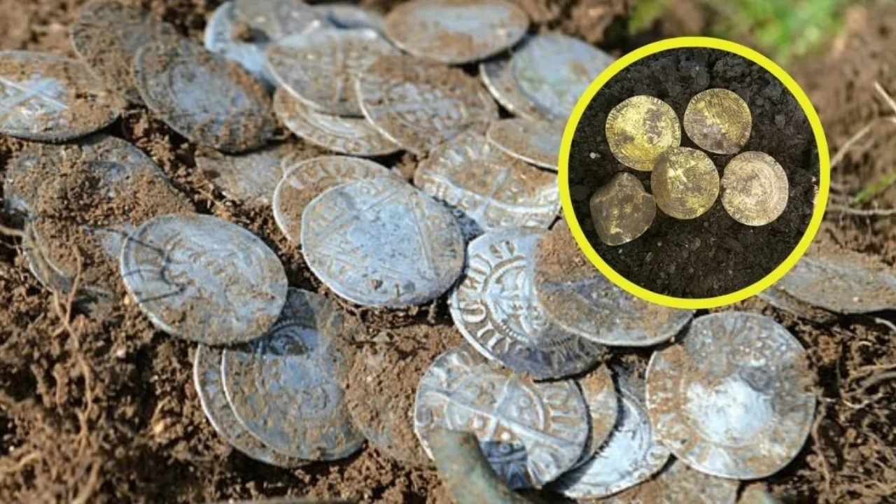 Descubren monedas de plata del siglo XI en un bosque